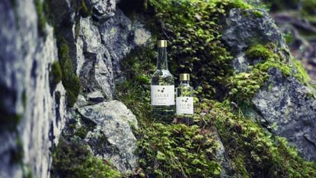 JAURE récompensée à l'international – a remporté l'OR à Atlanta. JAURE récompensée à l'international – a remporté l'OR à Atlanta.