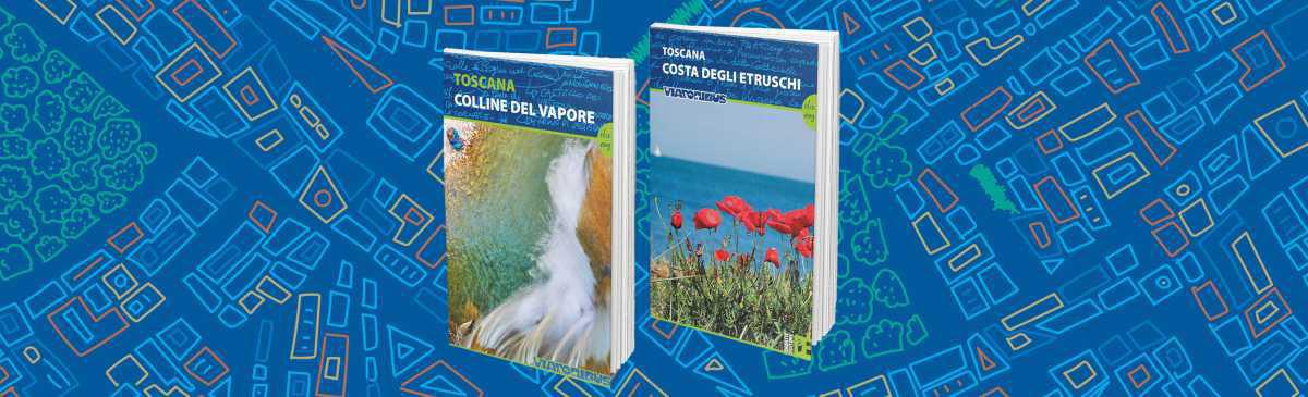 Pubblicazioni Pubblicazioni