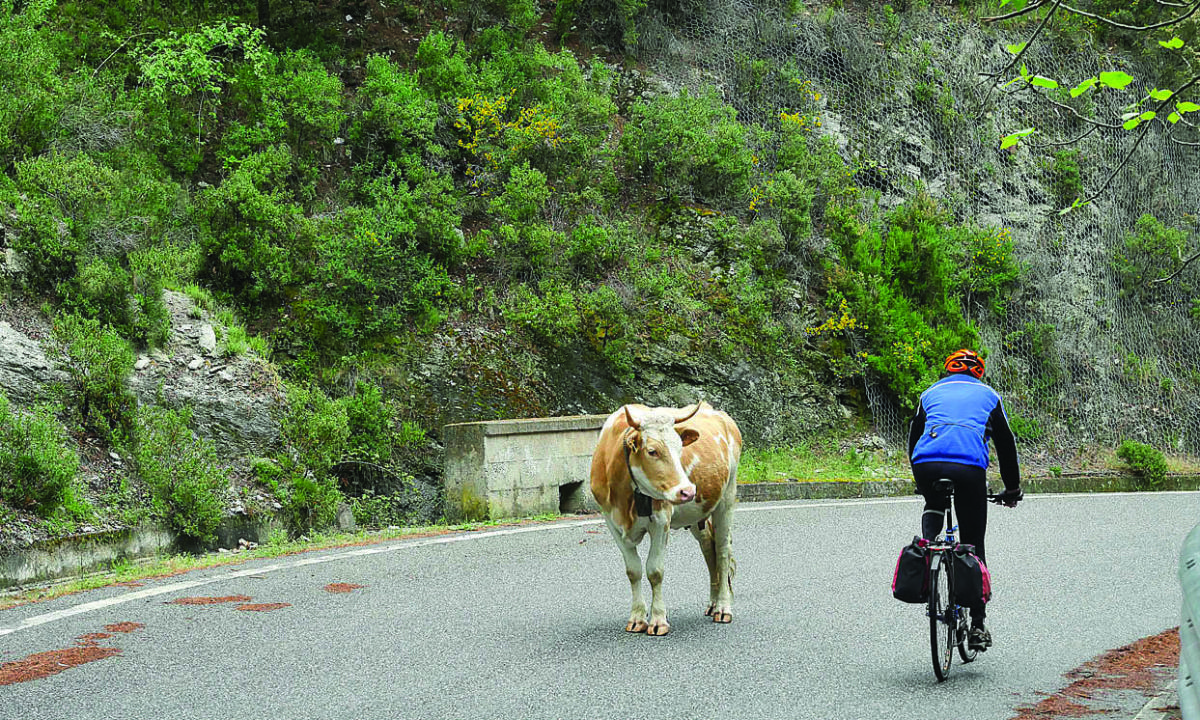 Il Progetto "Ciclovia Reventino-Savuto" Il Progetto "Ciclovia Reventino-Savuto"