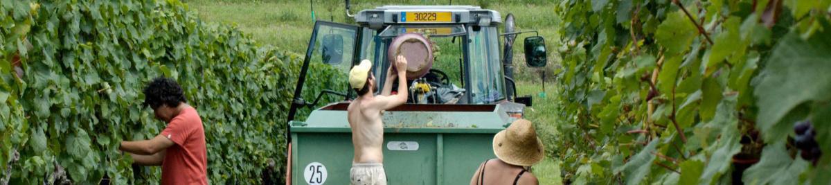 Domaine du Siorac Domaine du Siorac