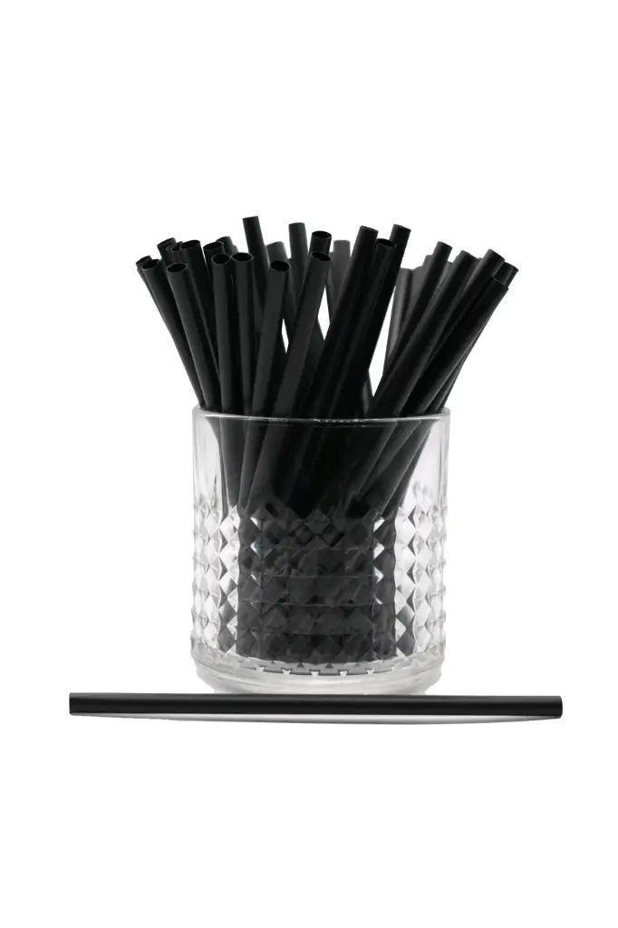 Pailles pour Cocktails Extradry