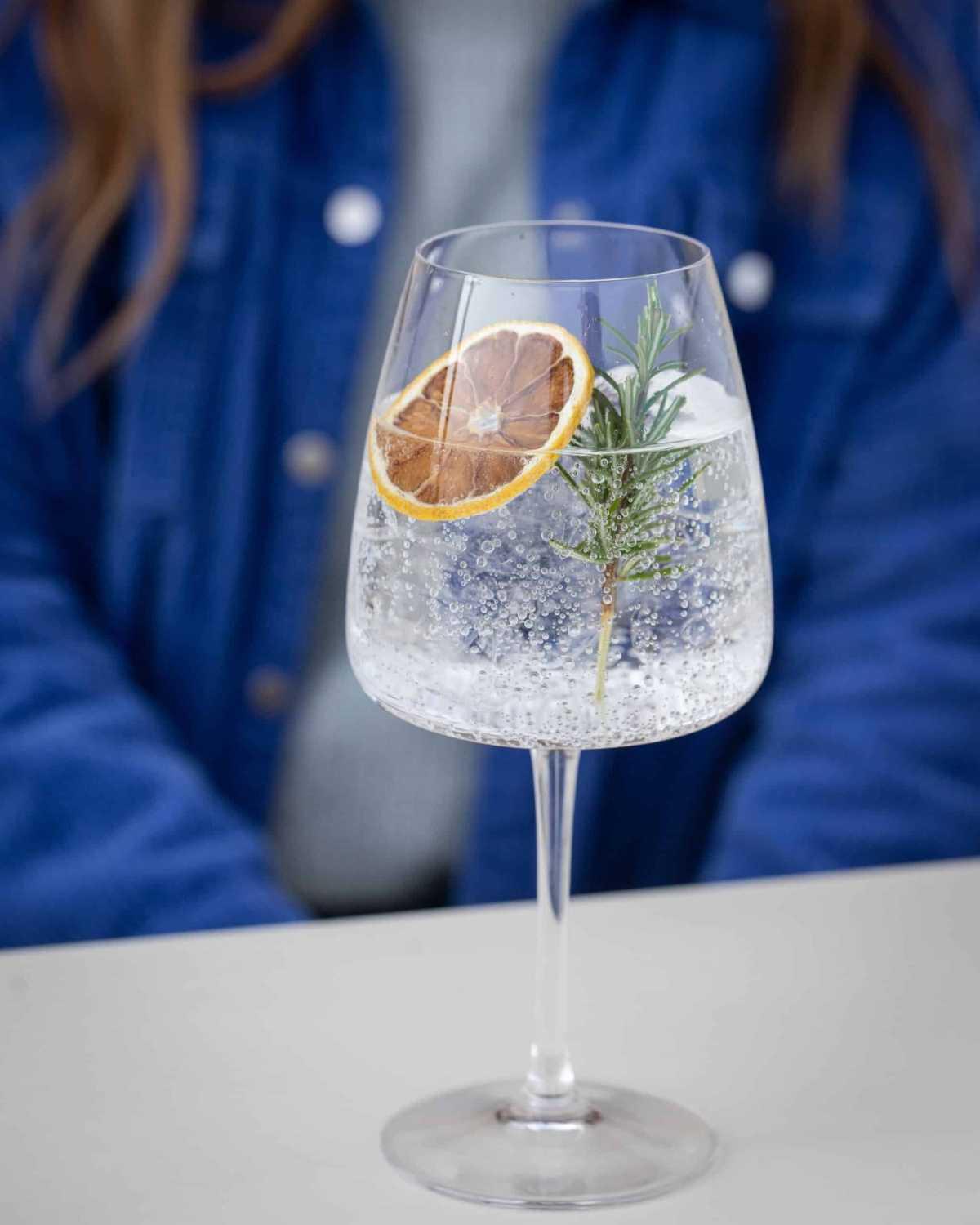 Fruits Déshydratés pour Cocktails d'Extradry