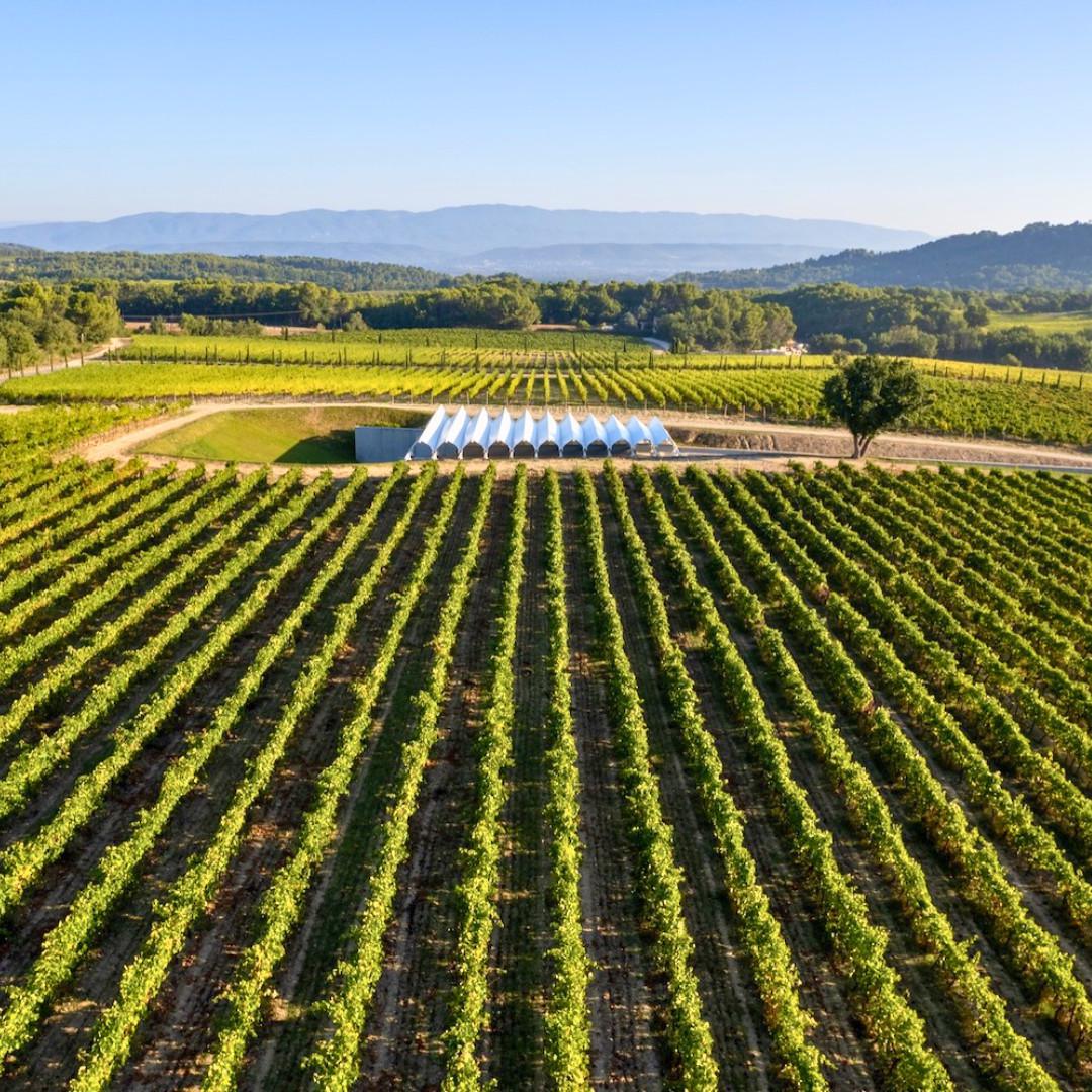 Château La Coste : l'exception dans le domaine