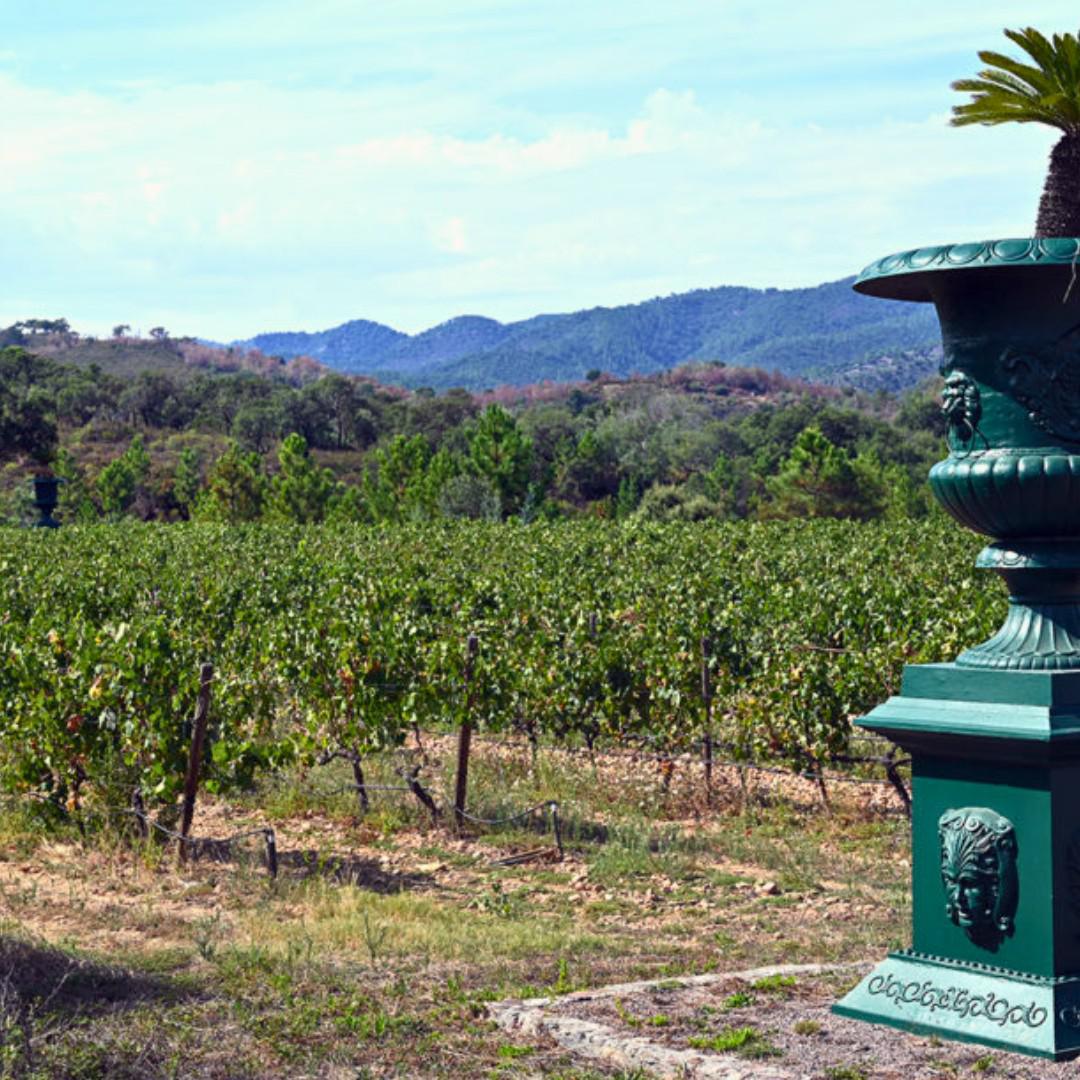 Sur les terres volcaniques du Domaine de Barbossi