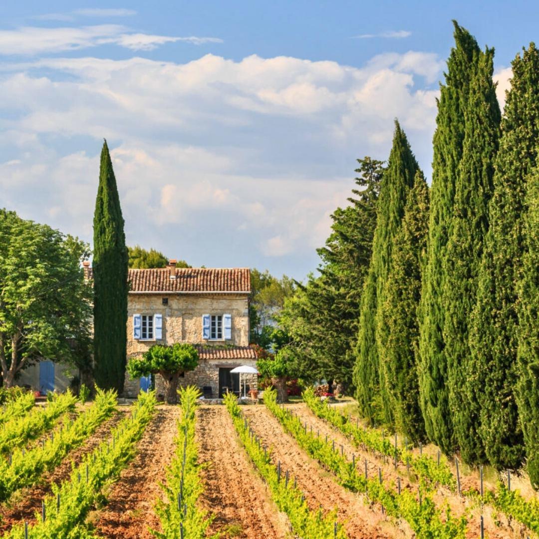 Au nom du partage, de l’authenticité et du Château Saint Esprit 