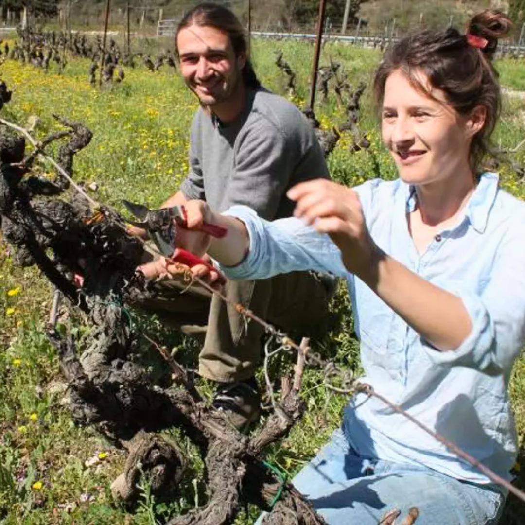 Clos St-Joseph : Côte de Provence en Côte d'Azur