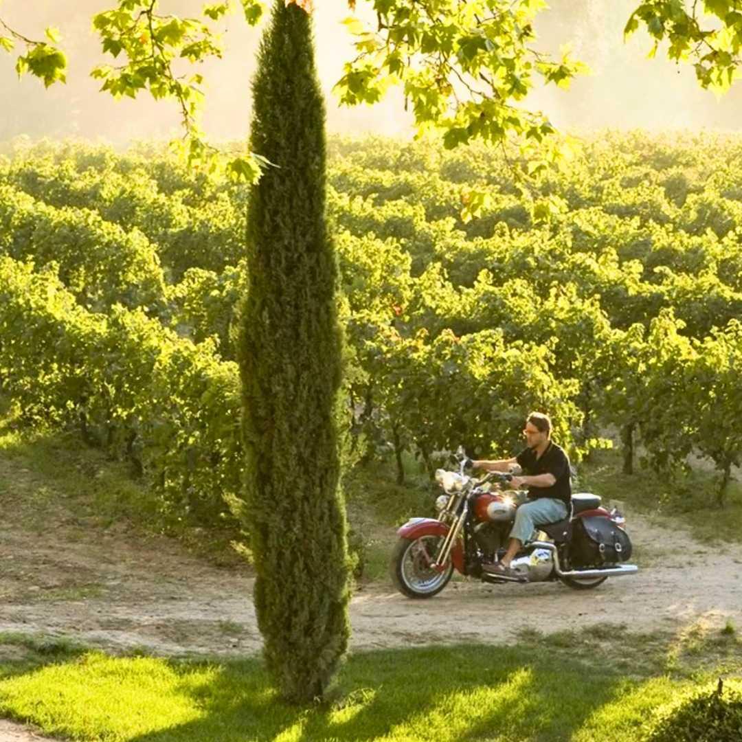 Ridley Scott : le vin, le cinema et la Provence