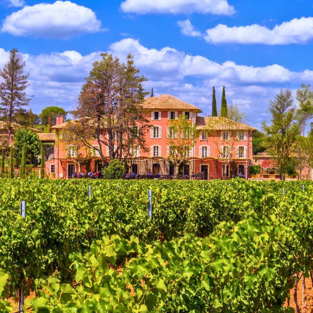 Château Saint- Roux : épique ou rien