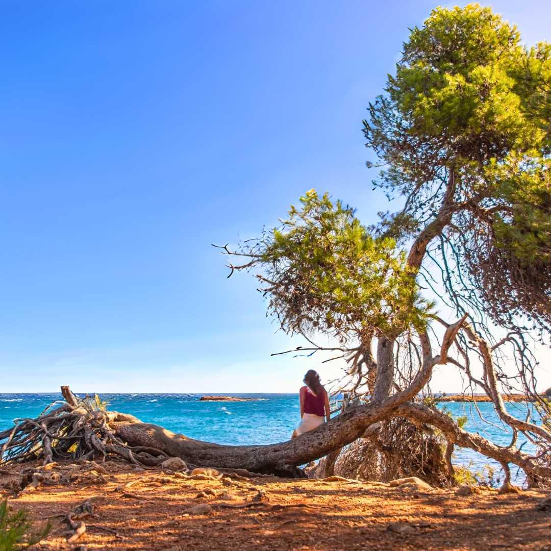 Abbaye des îles de Lérins : Le sang du Christ