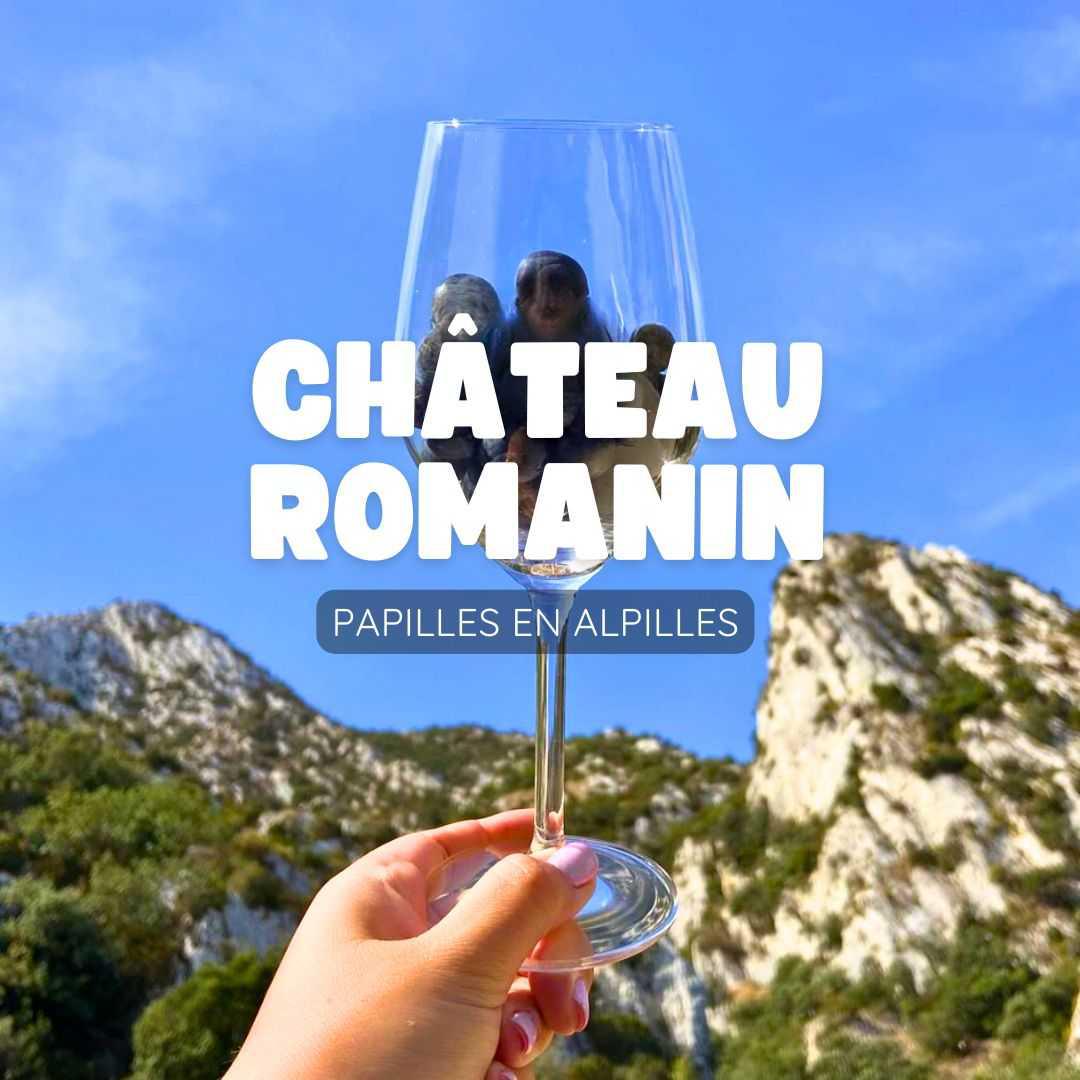 Château Romanin : papilles en Alpilles