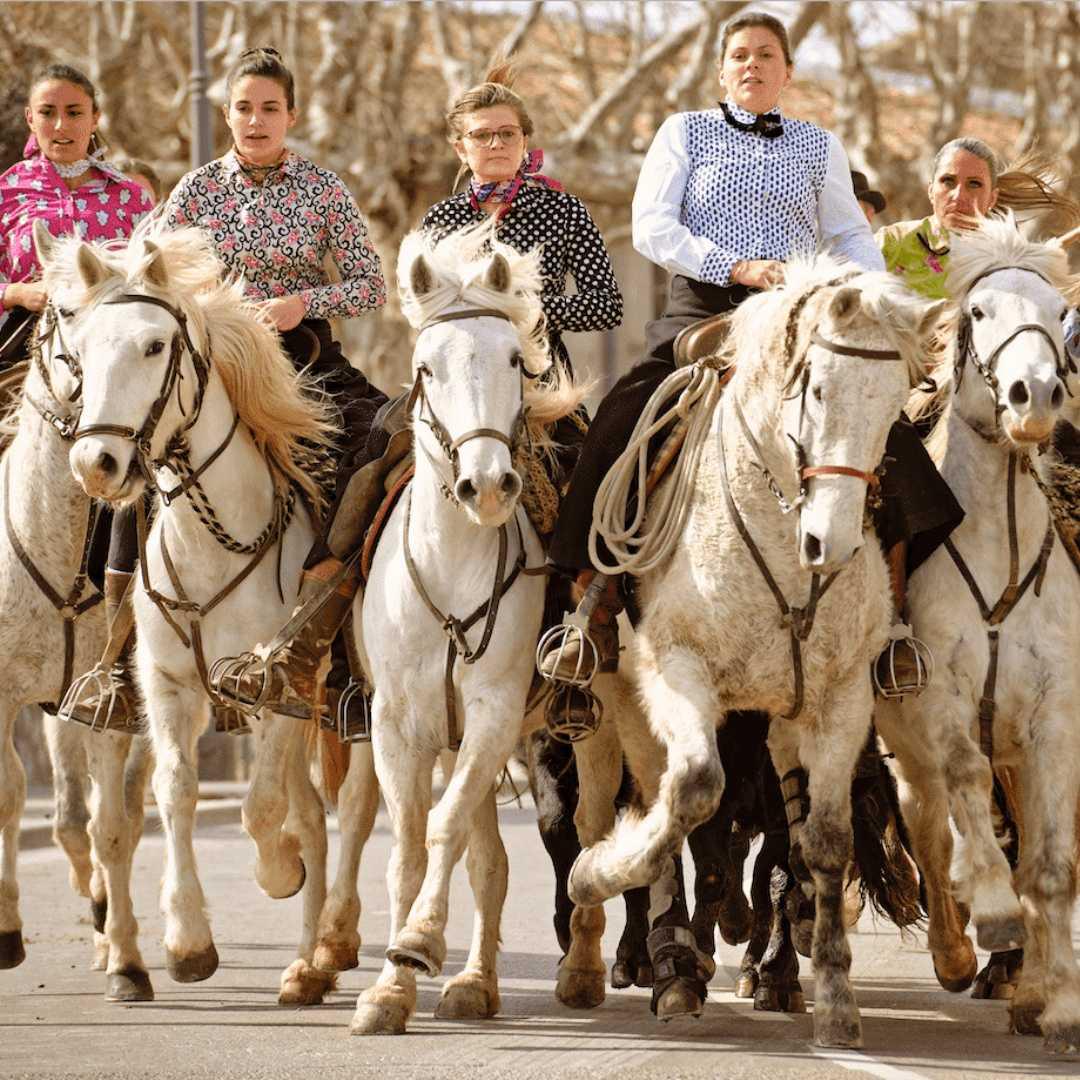 Vins de Camargue : Sables émouvants