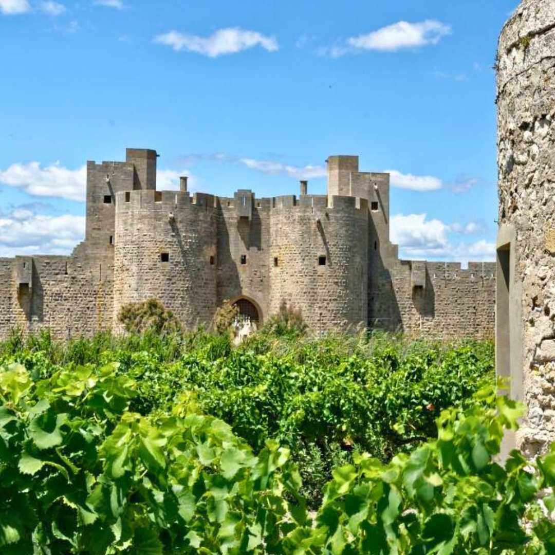 Vins de Camargue : Sables émouvants