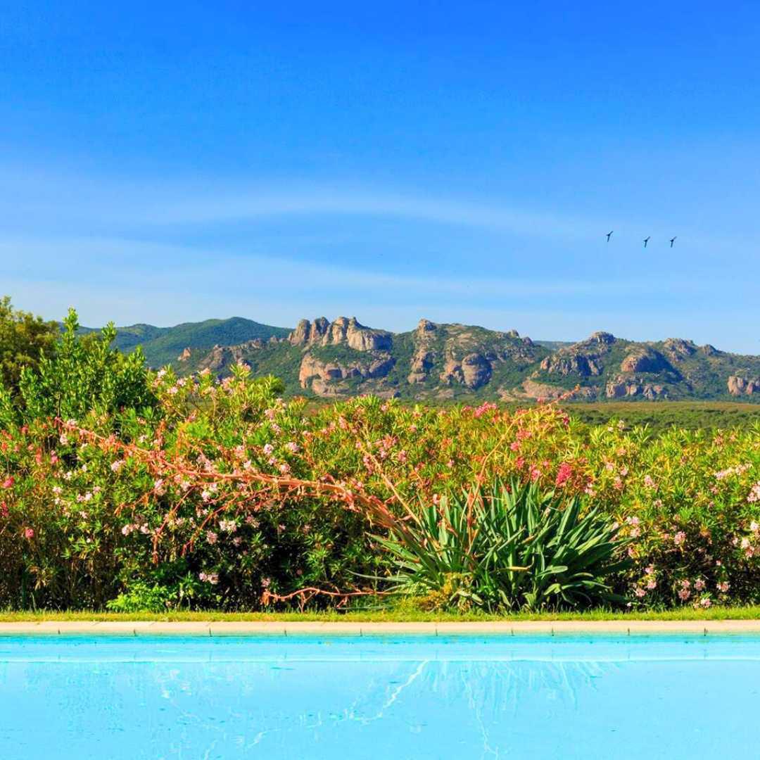 Woody Allen, Emma Stone, Colin Firth : Hollywood en Provence Woody Allen, Emma Stone, Colin Firth : Hollywood en Provence