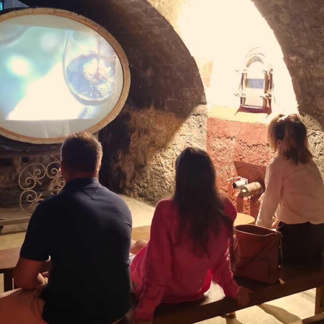 Visitez le musée des vins & spiritueux du Château Saint-Martin