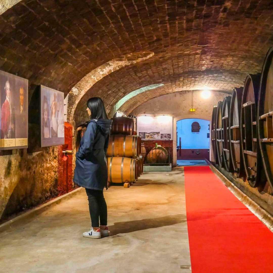 Visitez le musée des vins & spiritueux du Château Saint-Martin