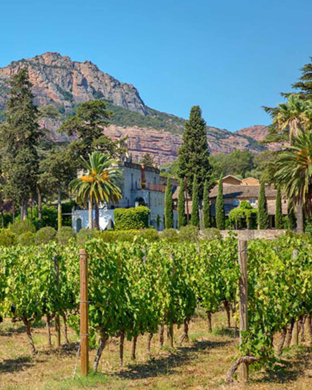 Destination Terre d'Estérel Destination Terre d'Estérel