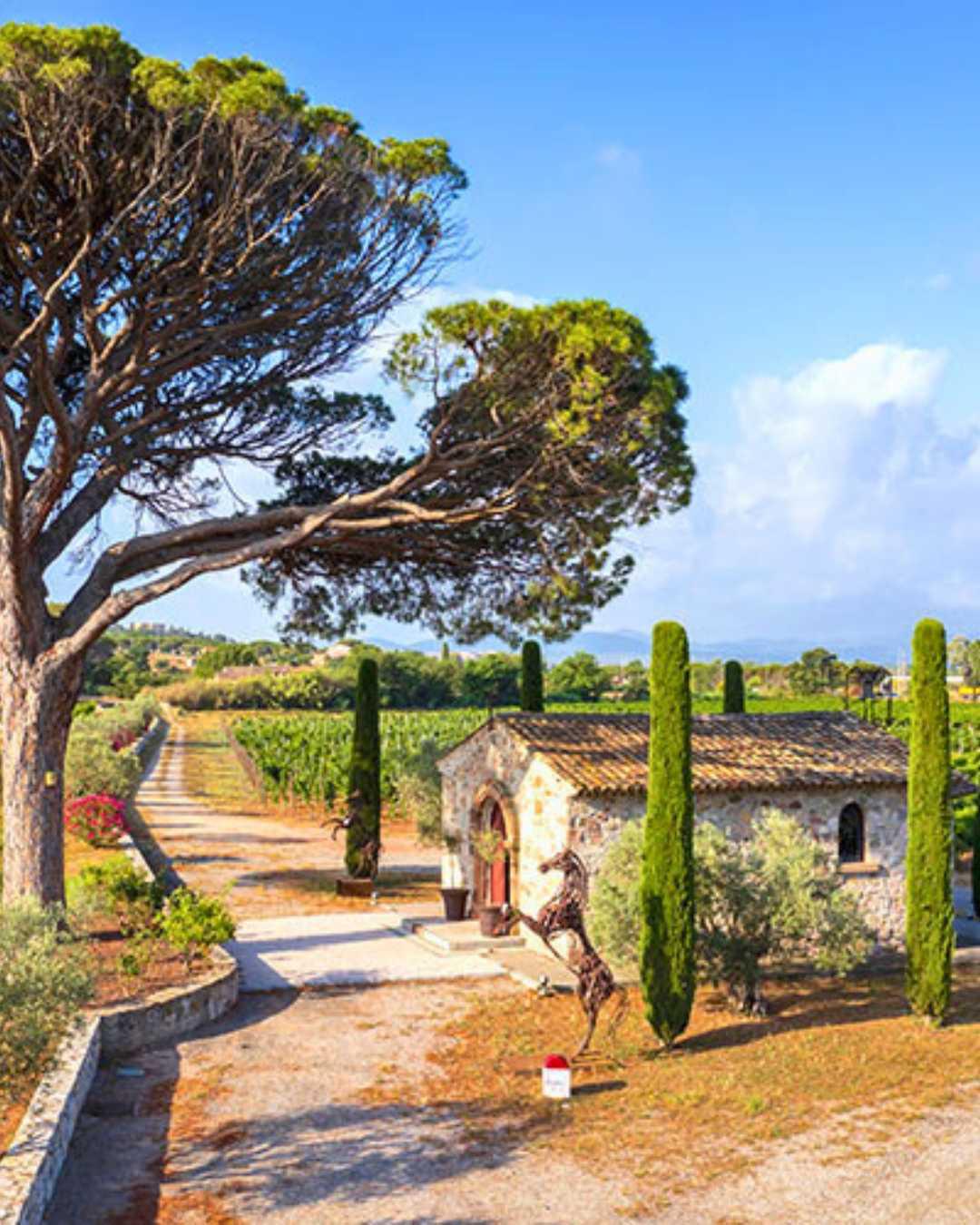 Destination Terre d'Estérel