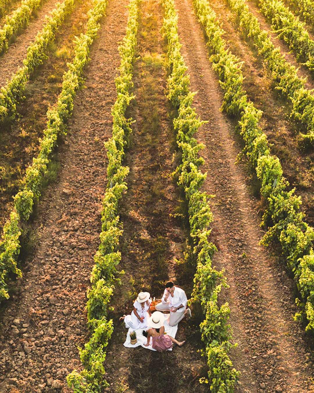 Destination Terre d'Estérel Destination Terre d'Estérel