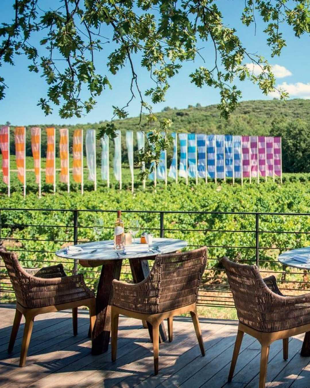 "Plus belle la vigne" à la Commanderie de Peyrassol "Plus belle la vigne" à la Commanderie de Peyrassol