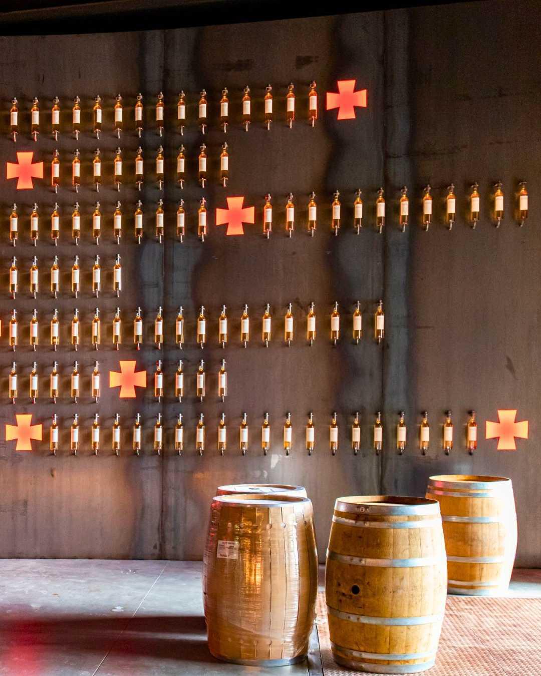 "Plus belle la vigne" à la Commanderie de Peyrassol "Plus belle la vigne" à la Commanderie de Peyrassol