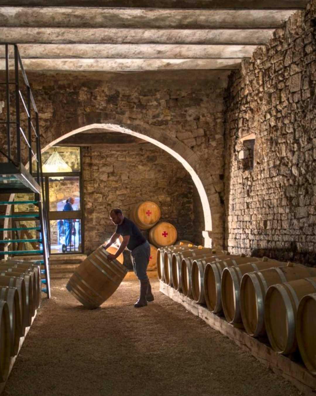 "Plus belle la vigne" à la Commanderie de Peyrassol "Plus belle la vigne" à la Commanderie de Peyrassol
