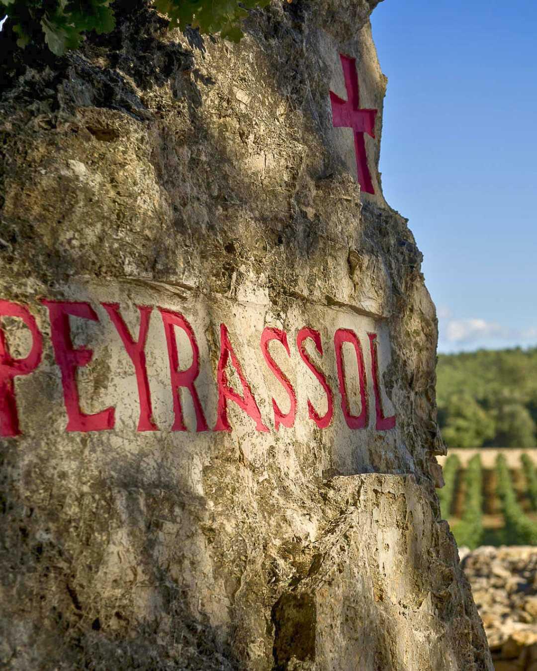 "Plus belle la vigne" à la Commanderie de Peyrassol "Plus belle la vigne" à la Commanderie de Peyrassol