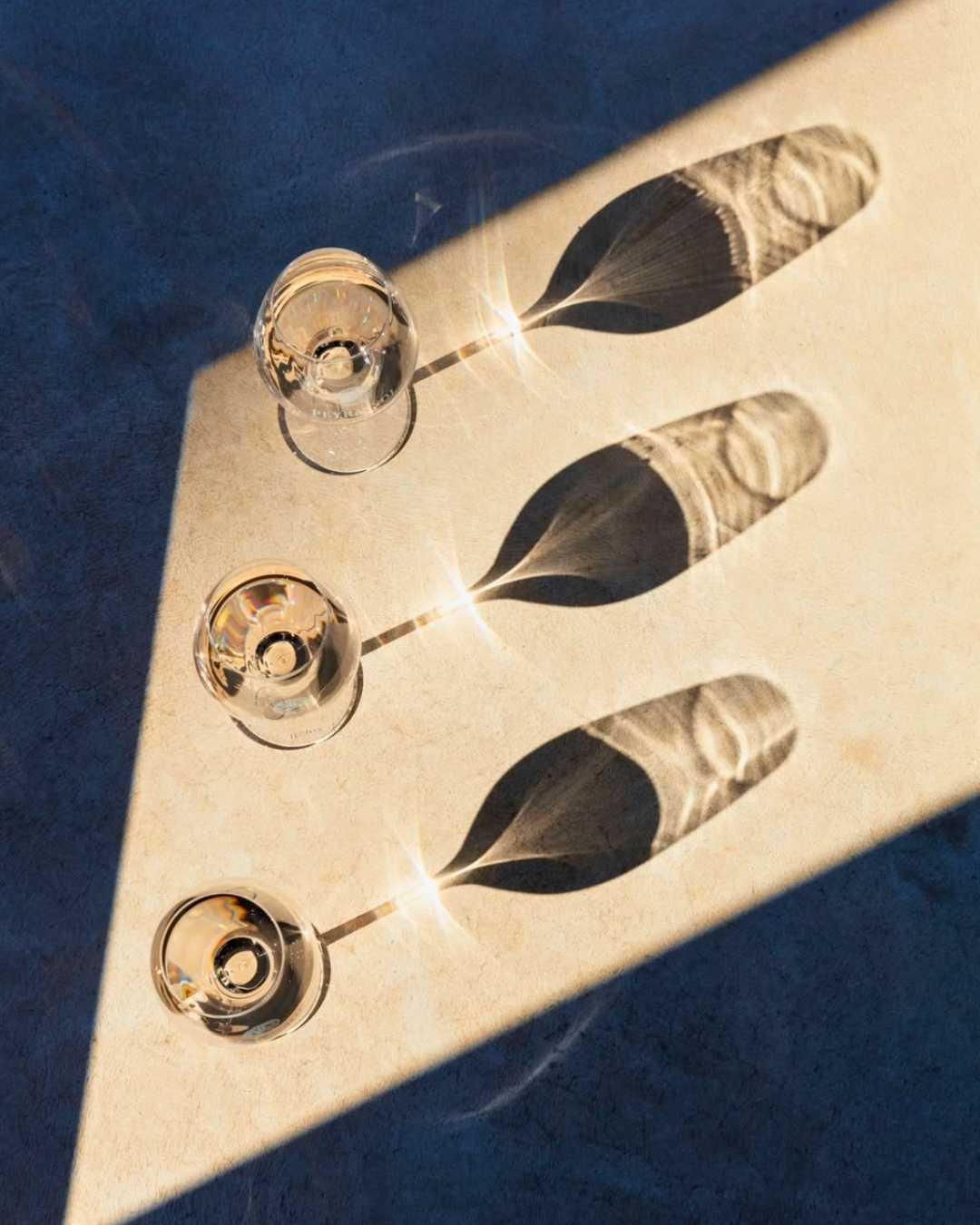 "Plus belle la vigne" à la Commanderie de Peyrassol "Plus belle la vigne" à la Commanderie de Peyrassol