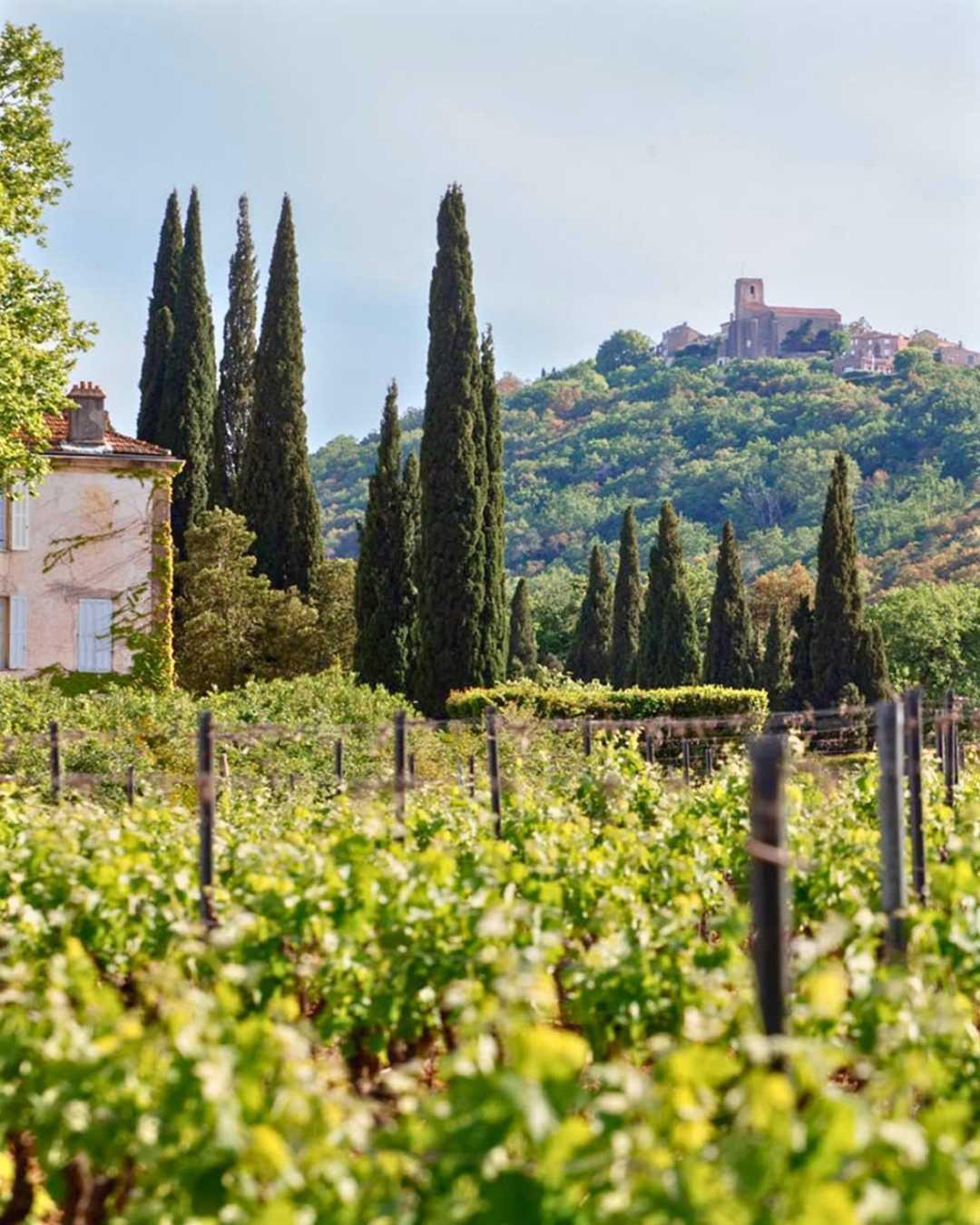 Château Minuty : Amour, Gloire et Rosé Château Minuty : Amour, Gloire et Rosé