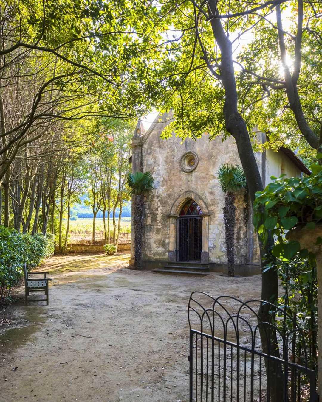 Château Minuty : Amour, Gloire et Rosé Château Minuty : Amour, Gloire et Rosé