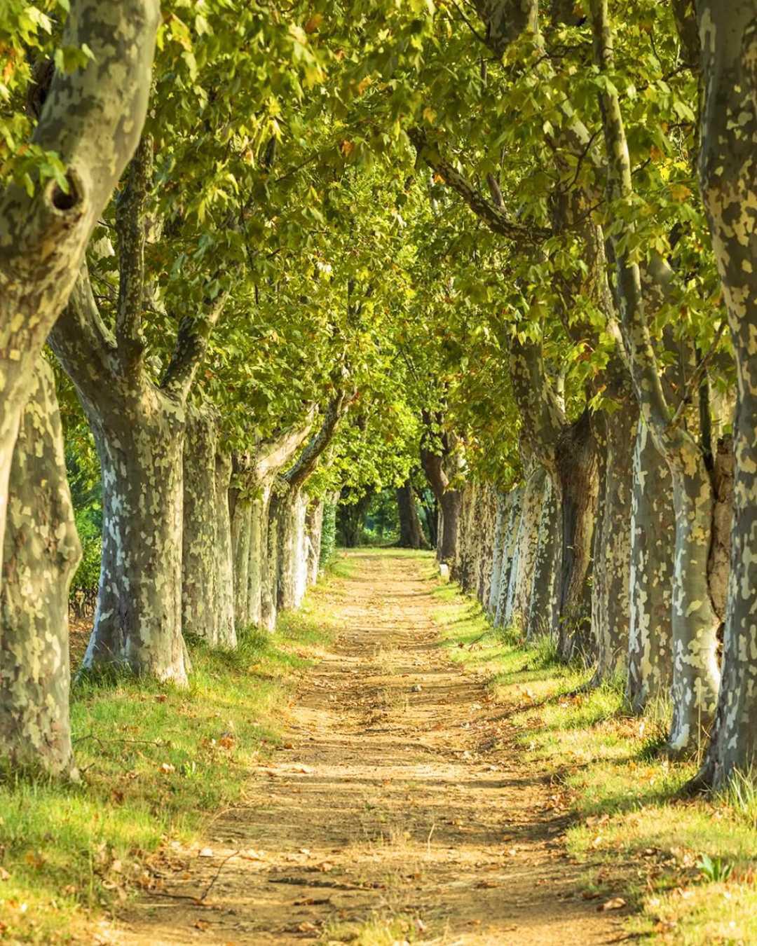 Château Minuty : Amour, Gloire et Rosé Château Minuty : Amour, Gloire et Rosé