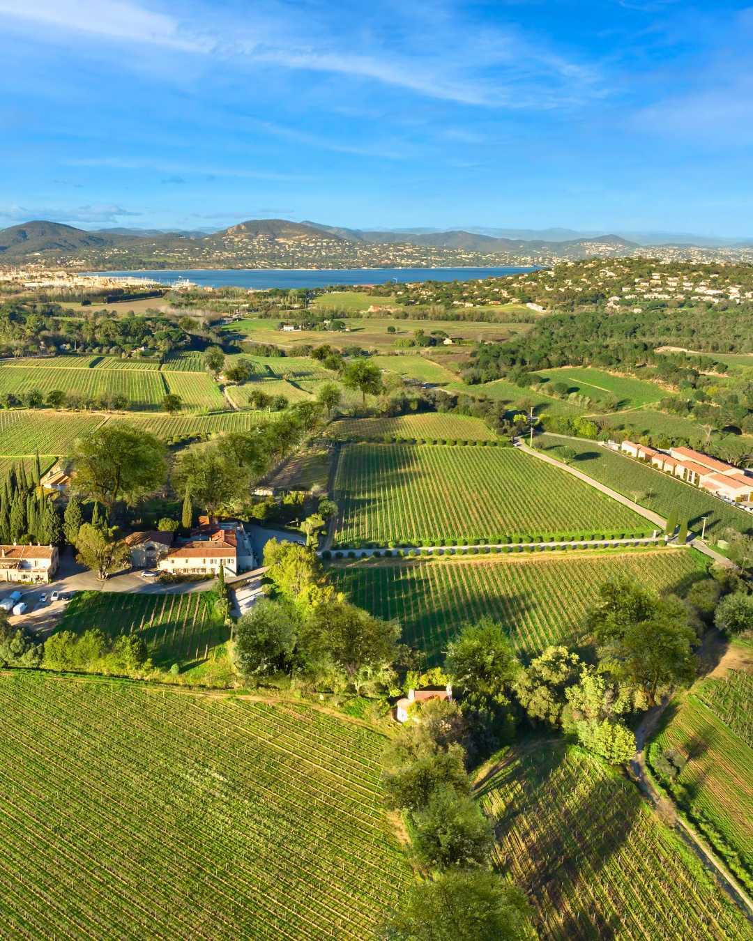 Château Minuty : Amour, Gloire et Rosé Château Minuty : Amour, Gloire et Rosé