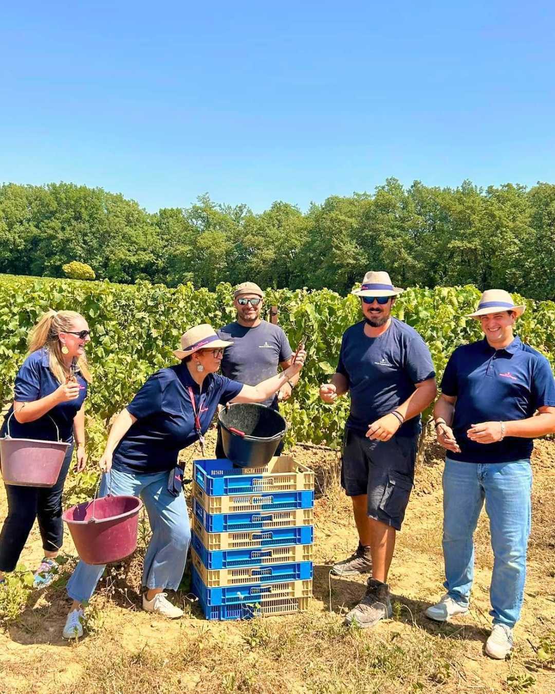 Domaine Tour Campanets : Femme jusqu'au bout du vin Domaine Tour Campanets : Femme jusqu'au bout du vin