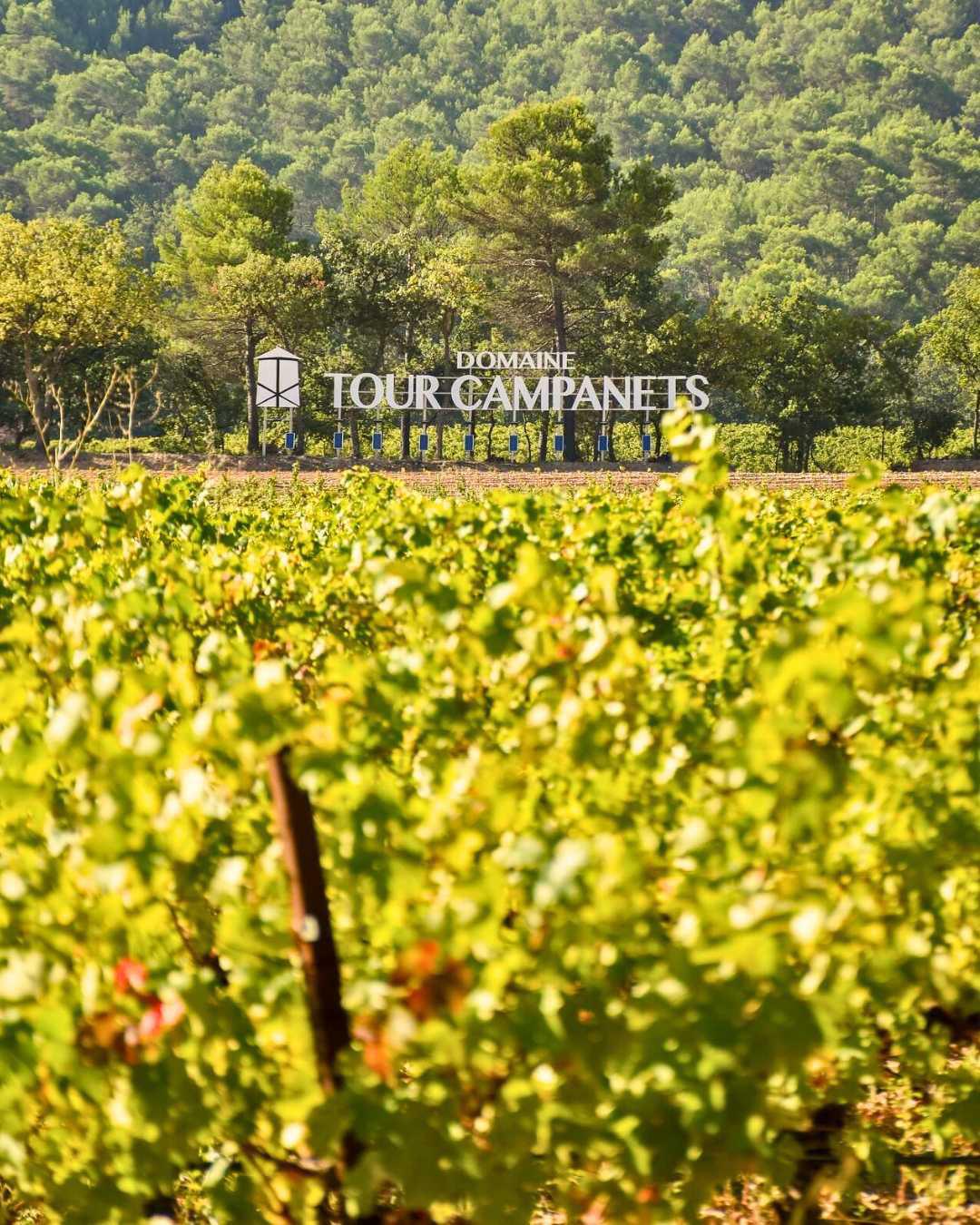 Domaine Tour Campanets : Femme jusqu'au bout du vin Domaine Tour Campanets : Femme jusqu'au bout du vin