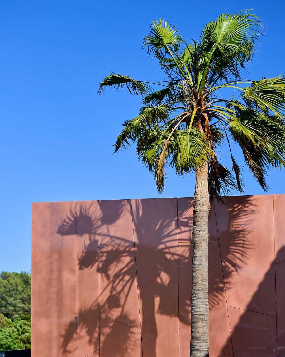 Château Sainte Marguerite : Des racines et des ailes Château Sainte Marguerite : Des racines et des ailes