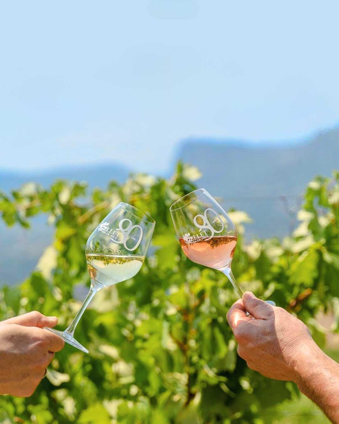 Domaine Saint Jean : des vins qui ont du relief Domaine Saint Jean : des vins qui ont du relief