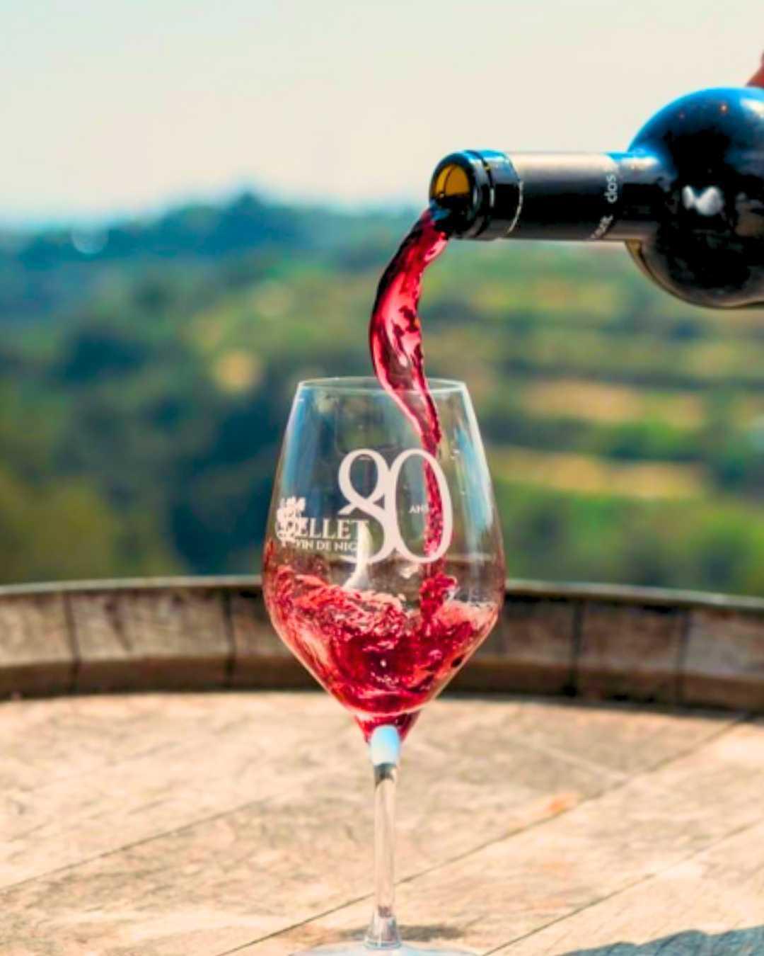 Domaine Saint Jean : des vins qui ont du relief Domaine Saint Jean : des vins qui ont du relief