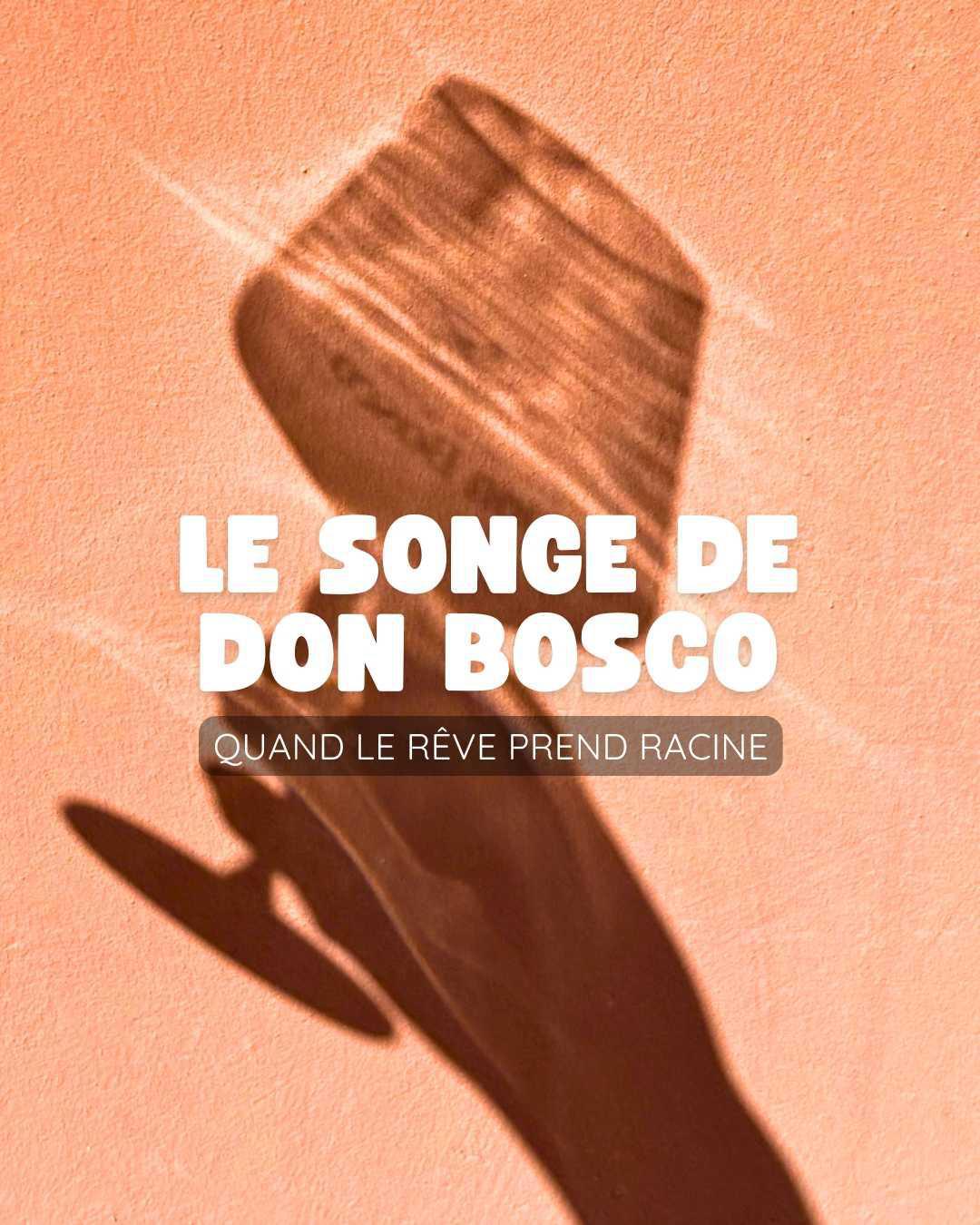 Le Songe de Don Bosco : Quand le rêve prend racine