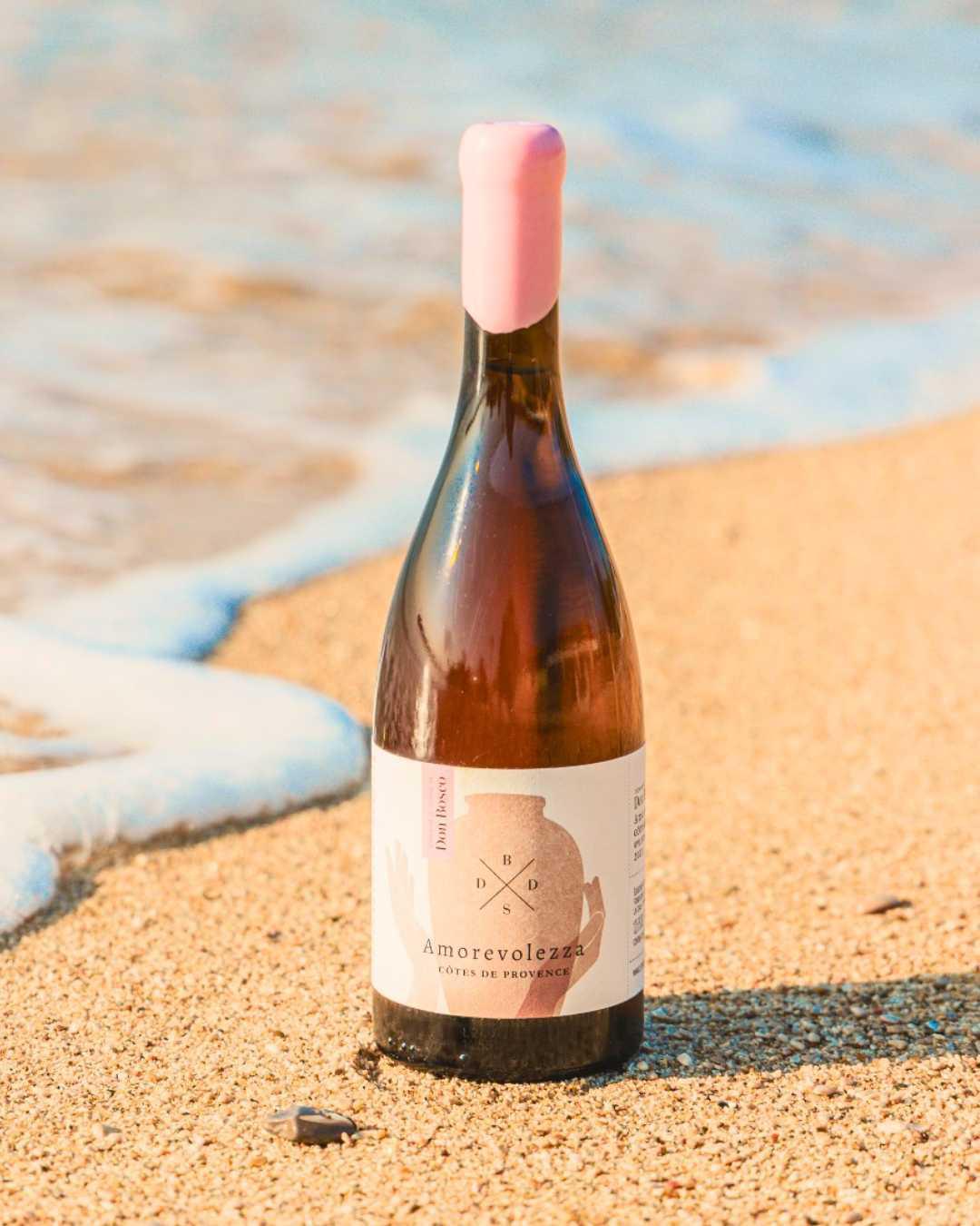 Le Songe de Don Bosco : Quand le rêve prend racine Le Songe de Don Bosco : Quand le rêve prend racine