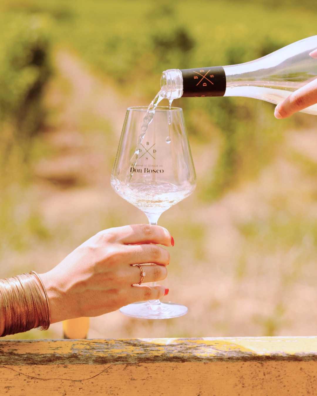 Le Songe de Don Bosco : Quand le rêve prend racine Le Songe de Don Bosco : Quand le rêve prend racine