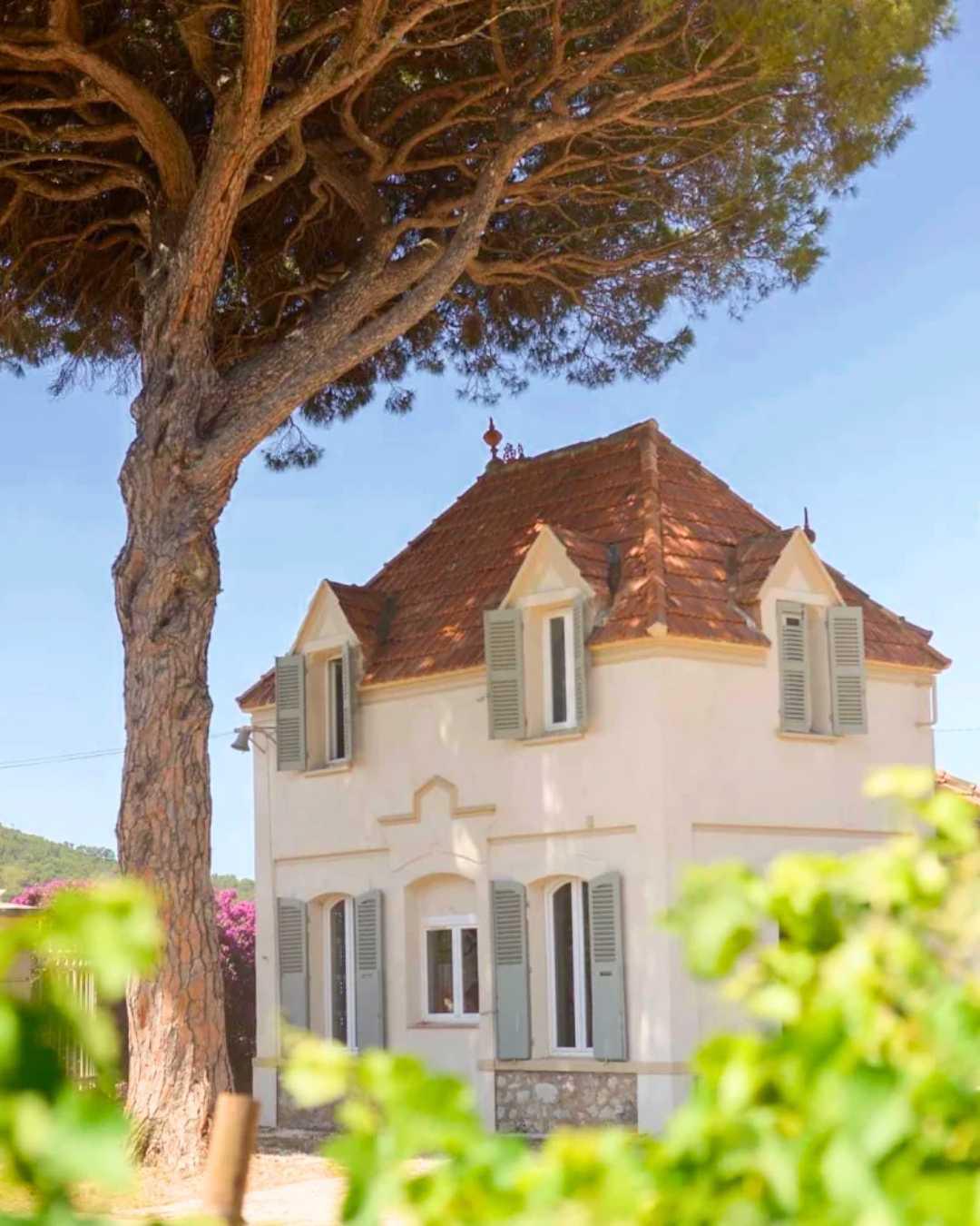 Château Carqueiranne : Renaissance In Progress Château Carqueiranne : Renaissance In Progress