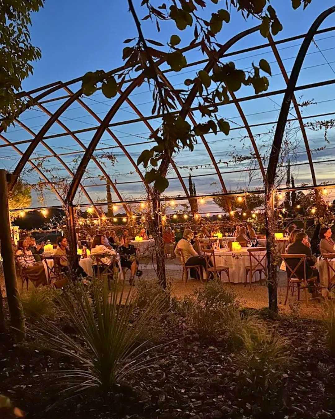 Château Carqueiranne : Renaissance In Progress Château Carqueiranne : Renaissance In Progress