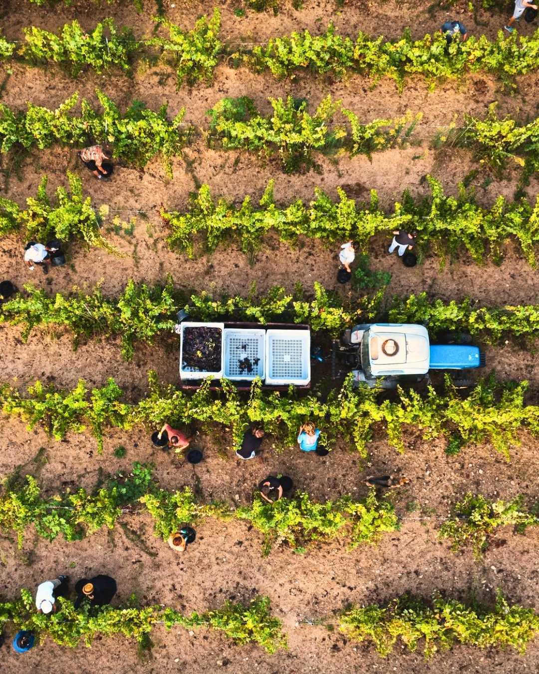 Sous le soleil exactement... dans le golf de St Tropez Sous le soleil exactement... dans le golf de St Tropez