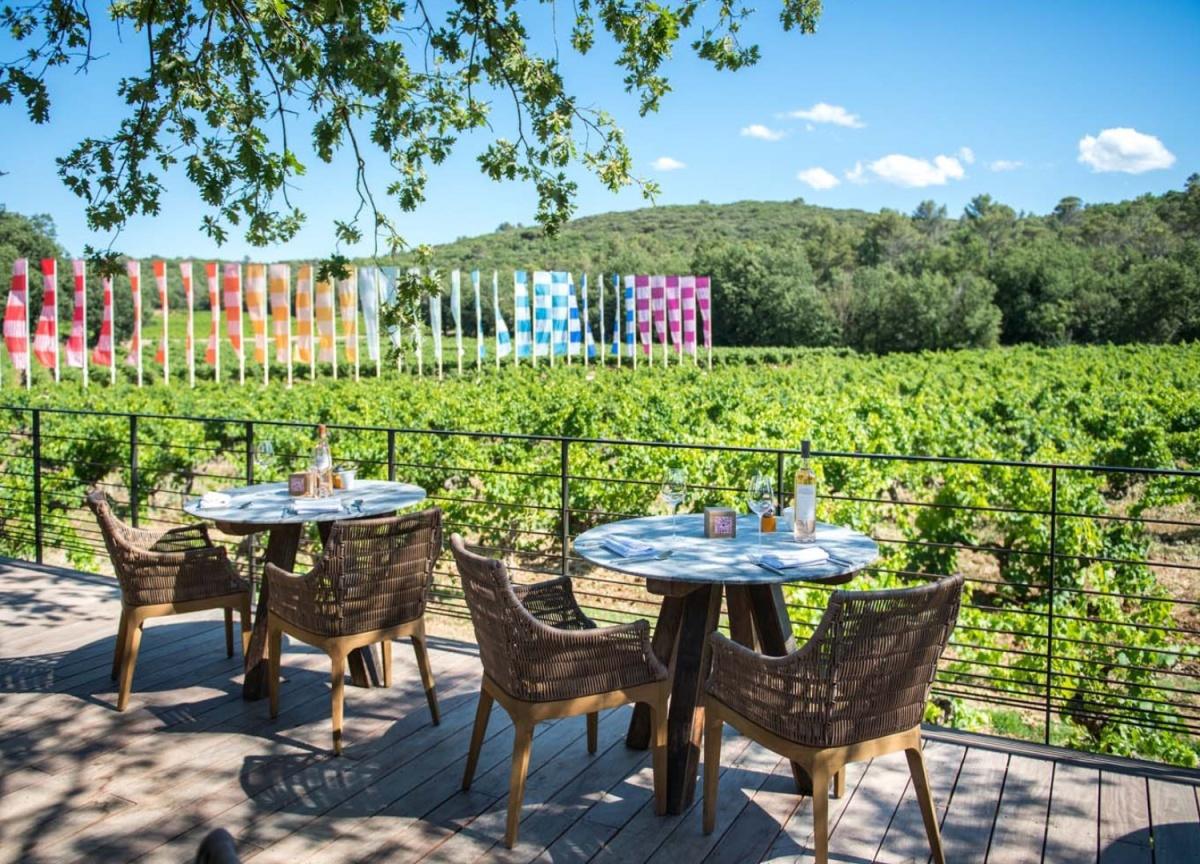 La Journée des Vendanges à la Commanderie de Peyrassol