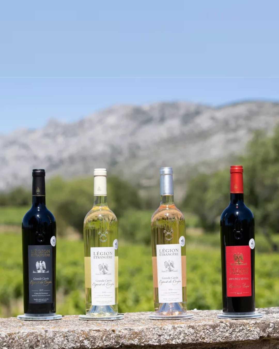 Domaine Capitaine Danjout : «Tiens, voilà du bon vin !»