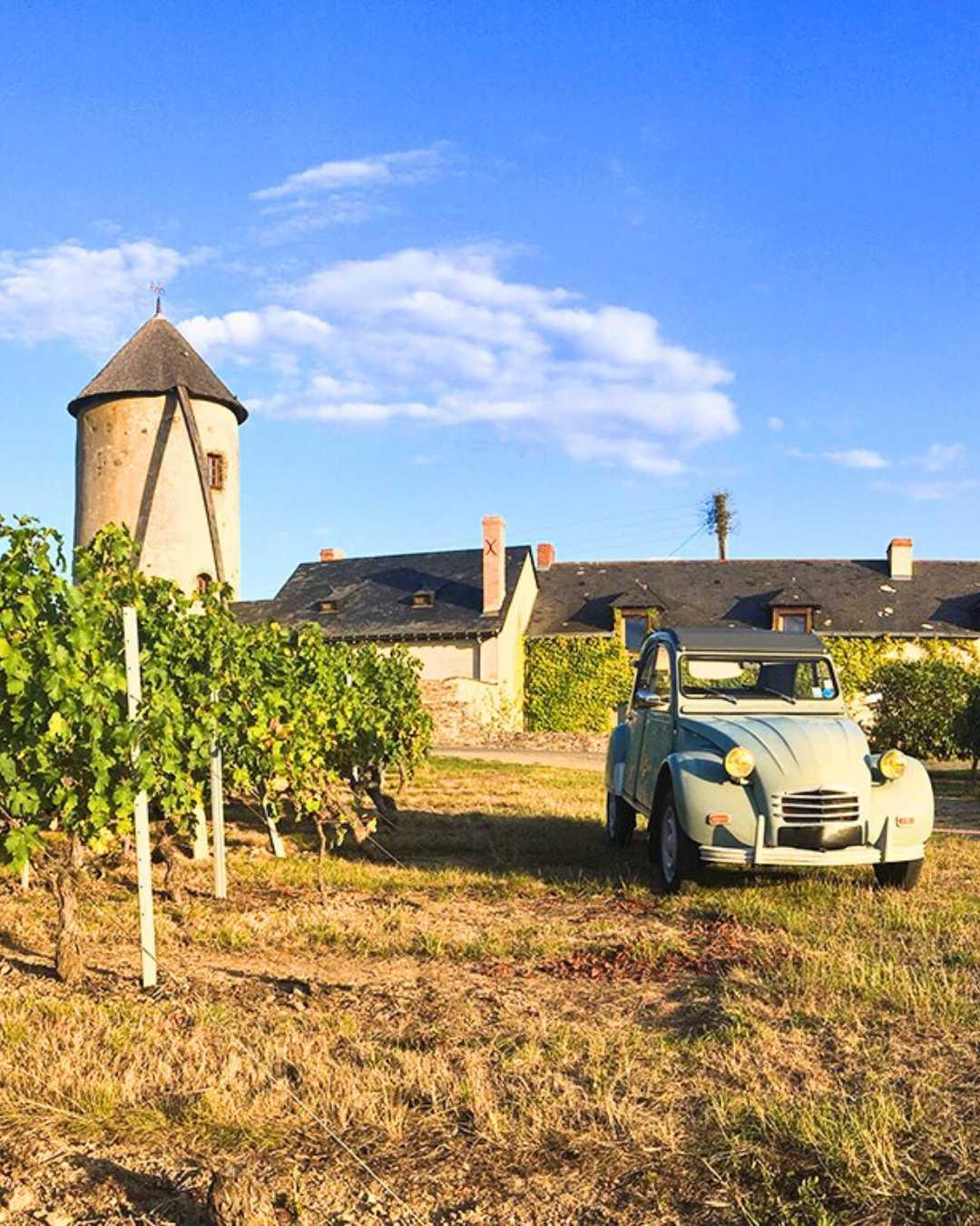 Domaine Capitaine Danjout : «Tiens, voilà du bon vin !»