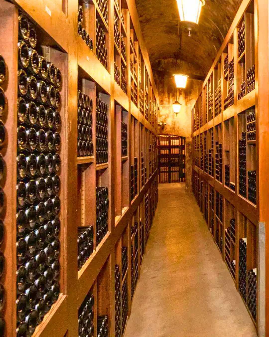 À Monaco : Sous le palais, la cave À Monaco : Sous le palais, la cave