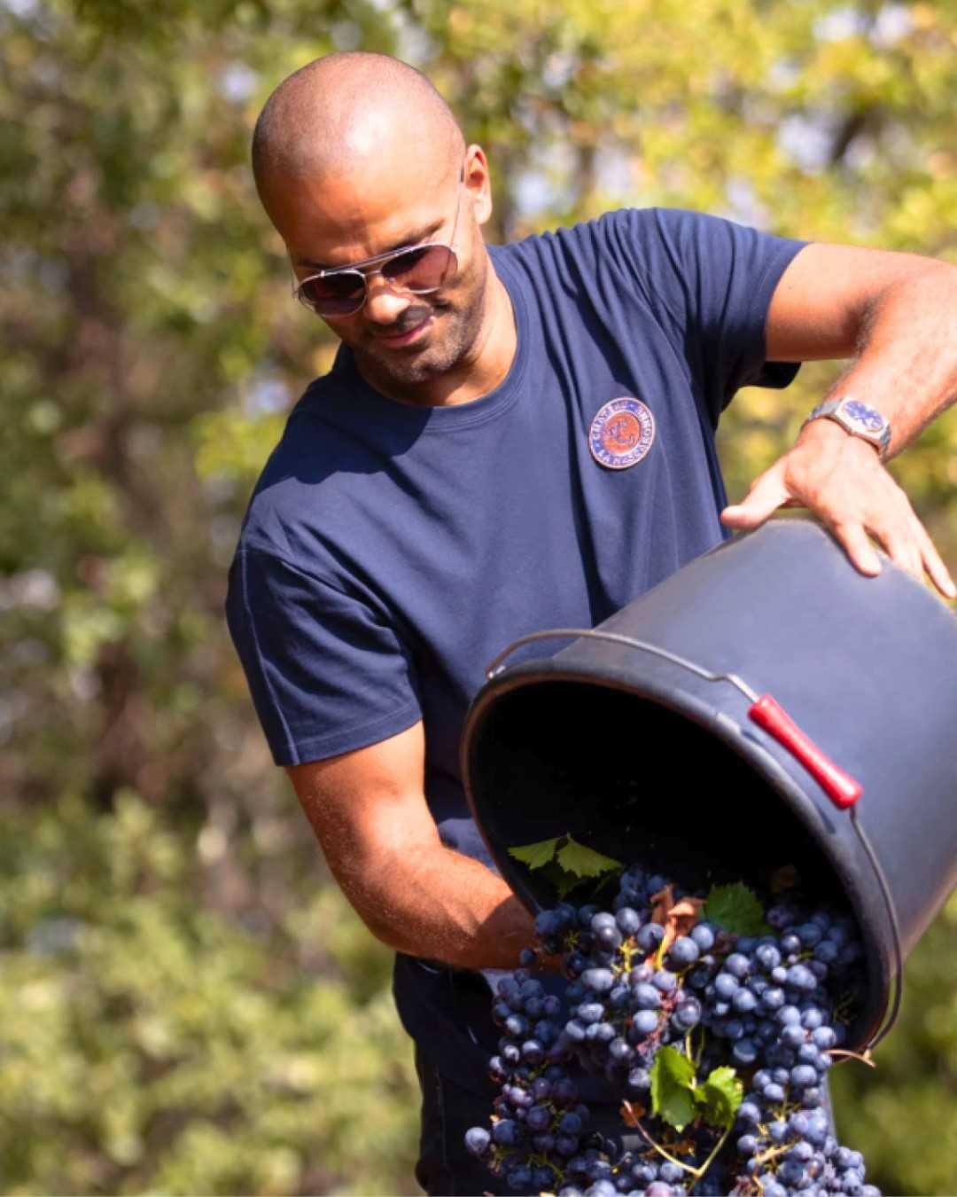 Château La Mascaronne : Du terrain au terroir