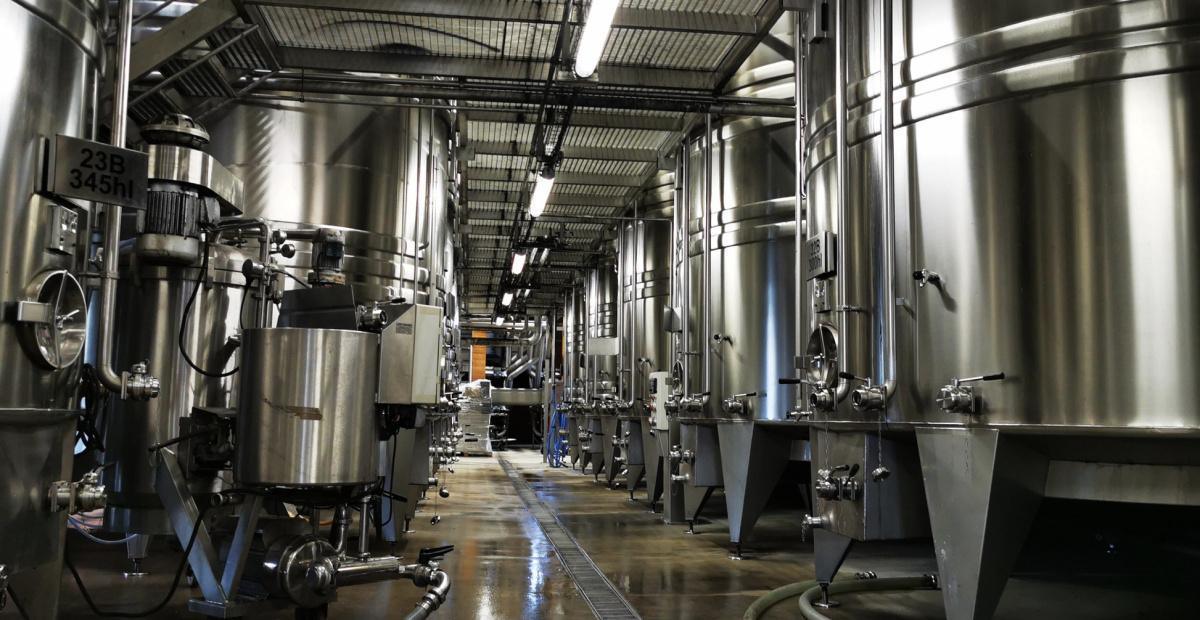 Visite & Dégustation au Caveau de Saint Romain