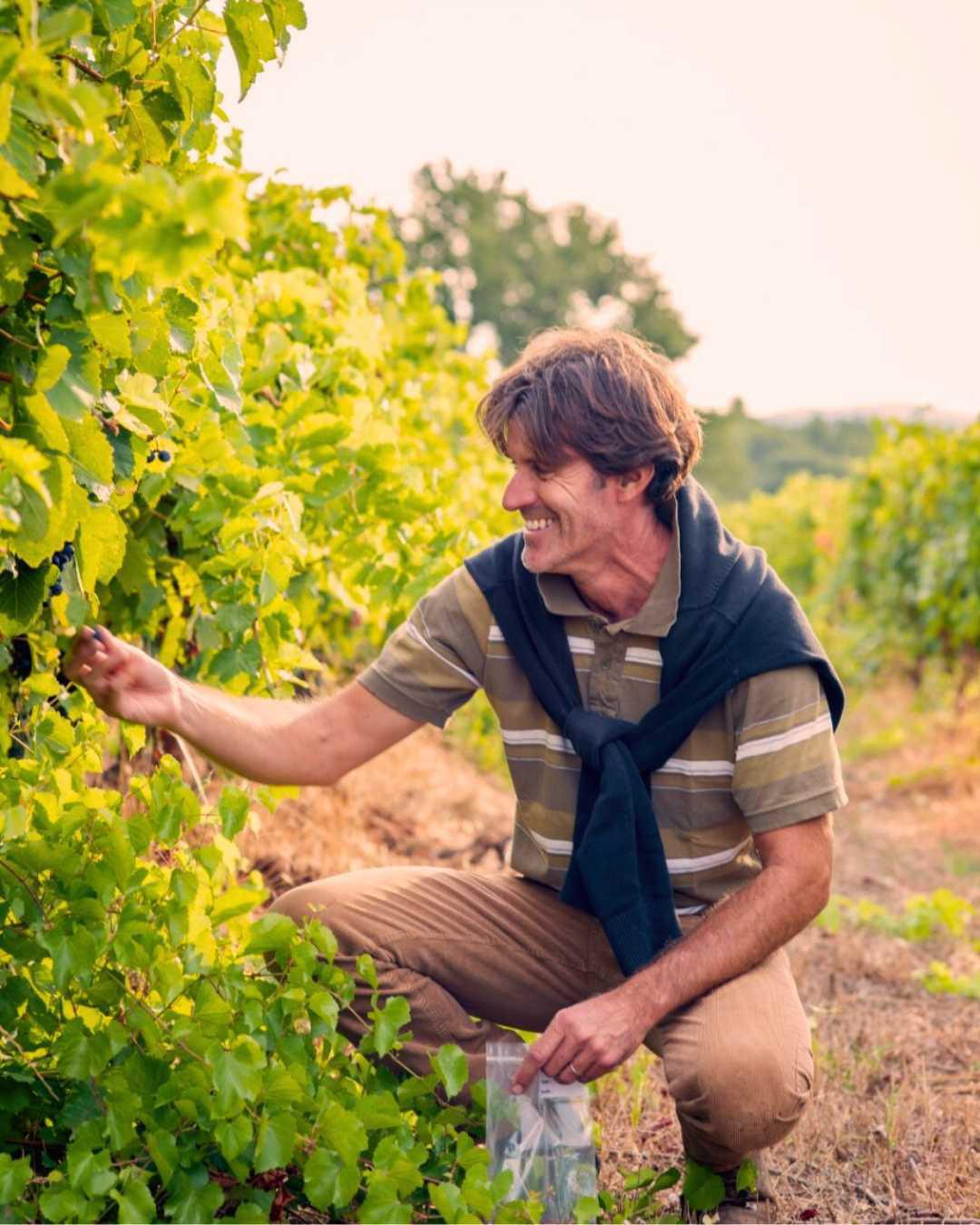 50 nuances de rosé au Château Gassier 50 nuances de rosé au Château Gassier