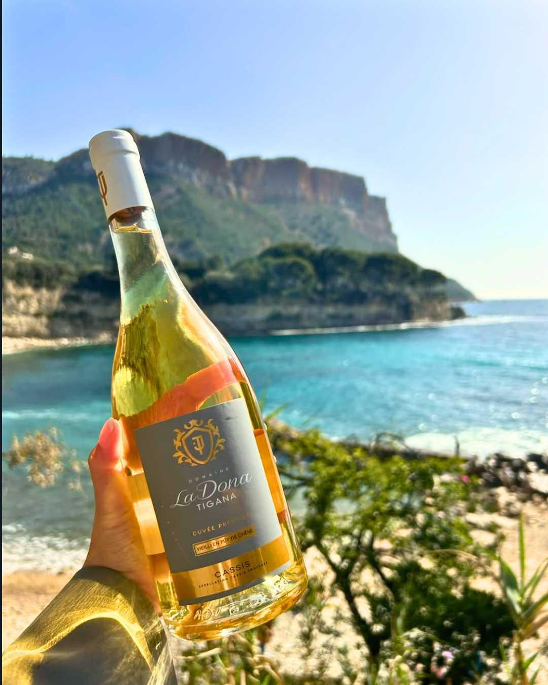 La Dona Tigana : maillot bleu et vin blanc 